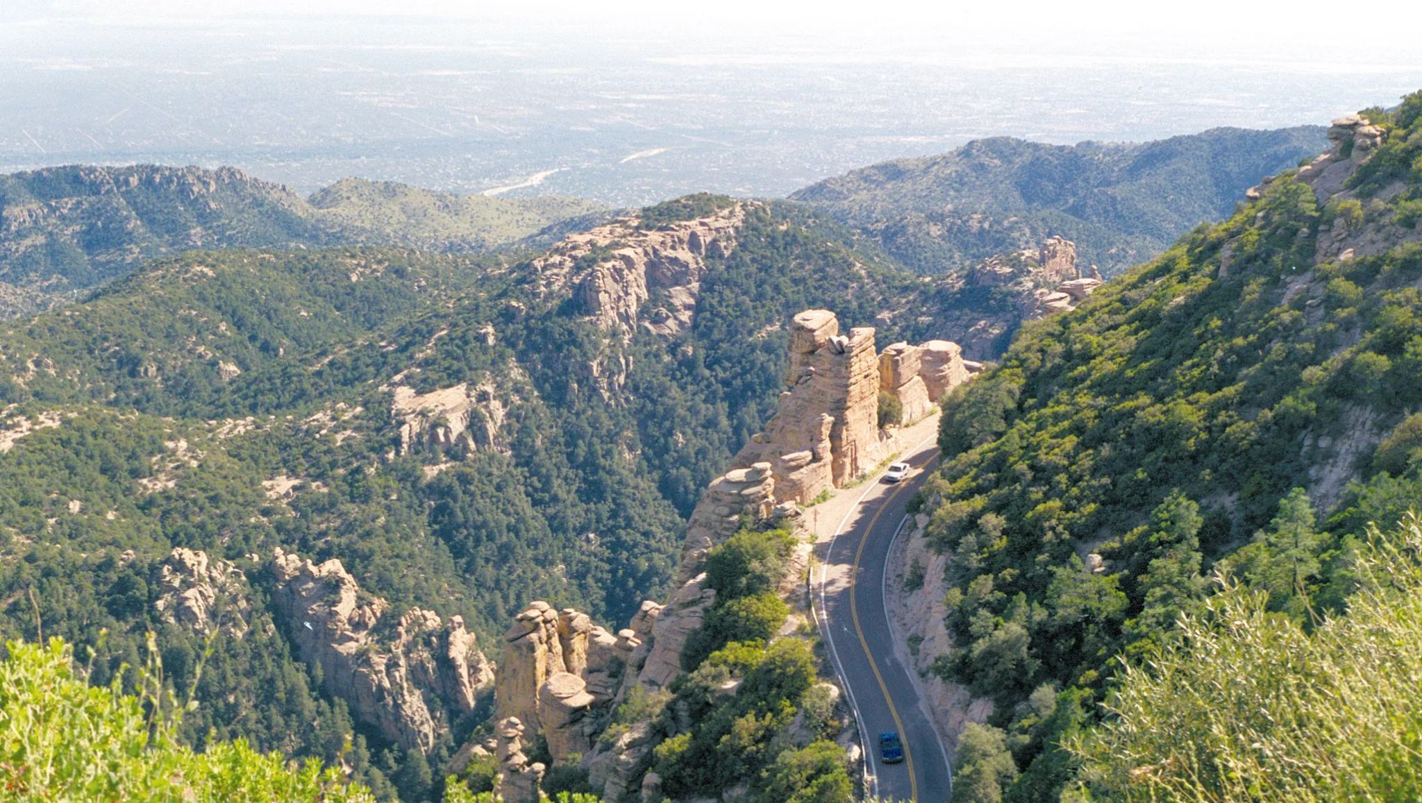 Mt.Lemmon